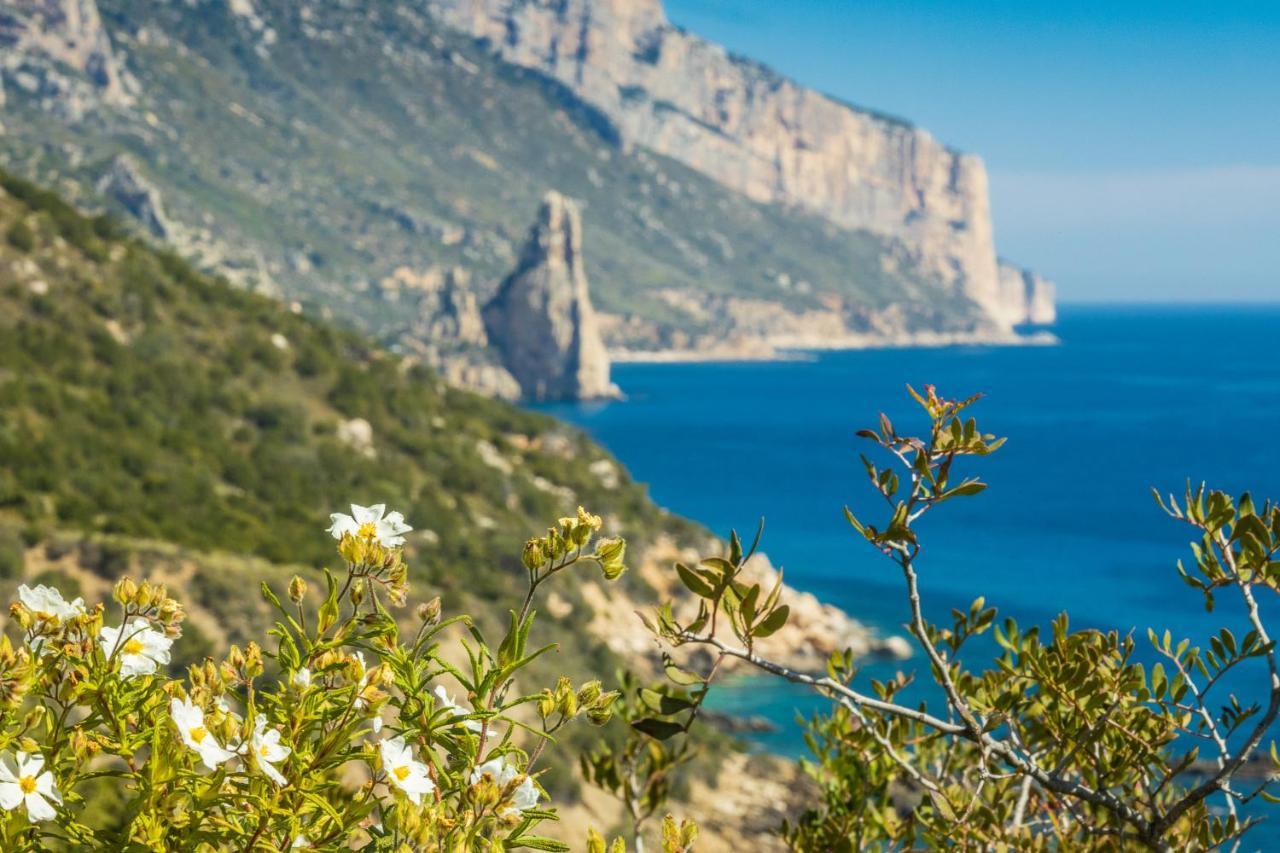 Ostello Bellavista Santa Maria Navarrese Exteriör bild